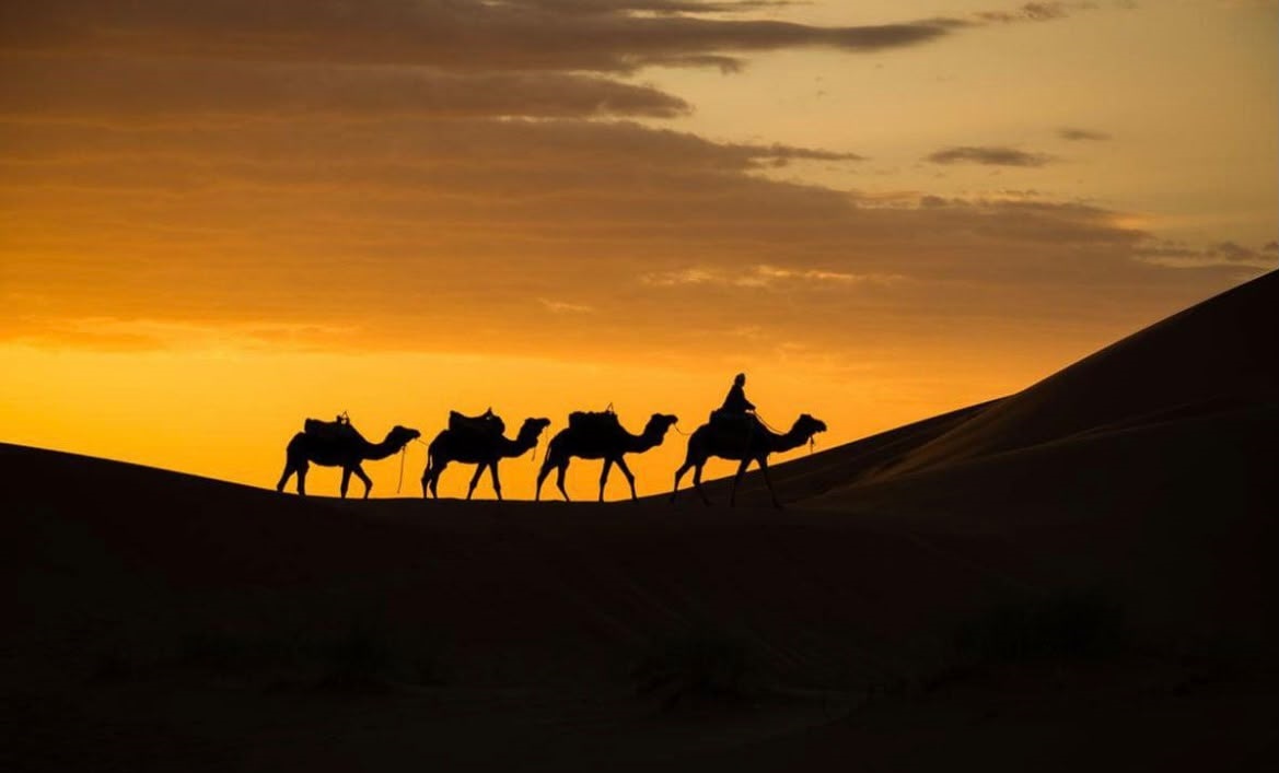 Camel caravan silhouette at sunset