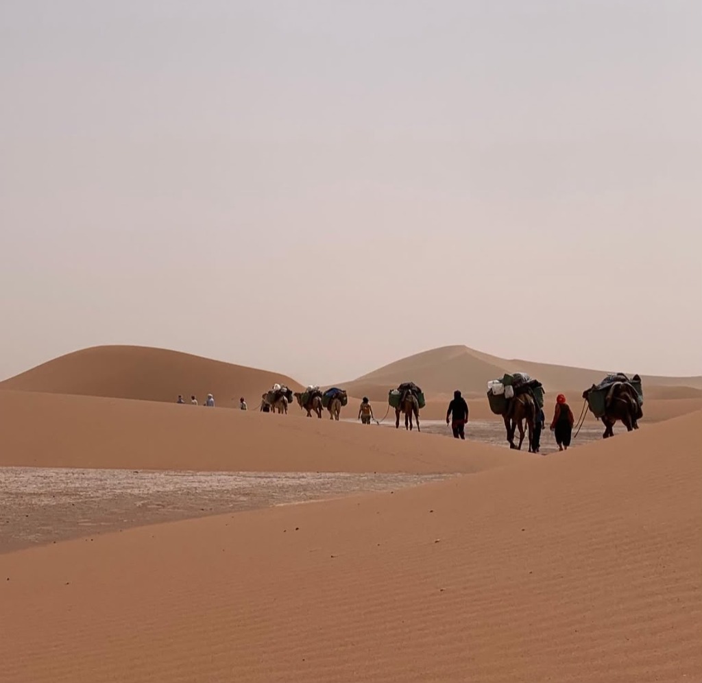 Camel Pack Caravan on Dunes